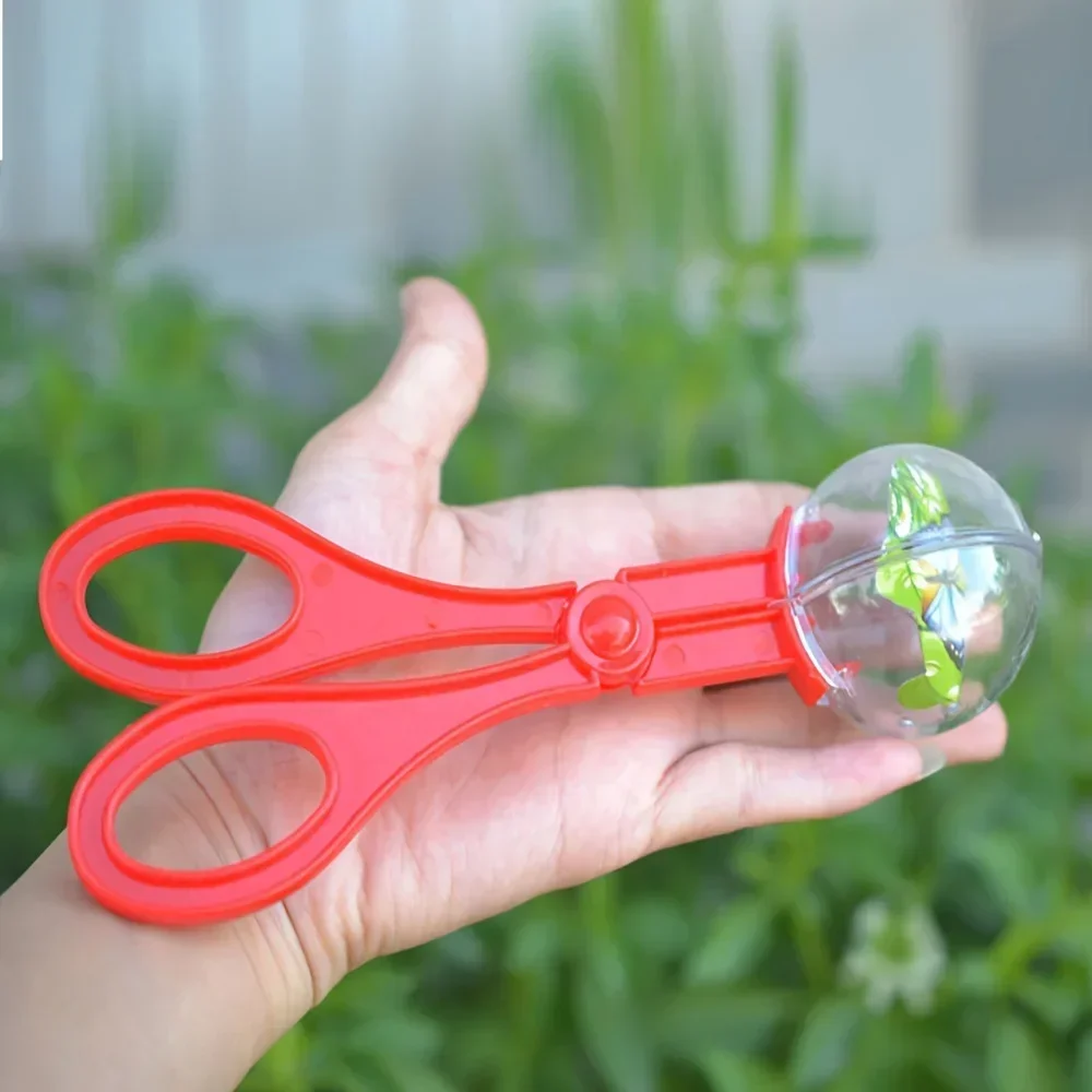 กรรไกรจับแมลงลูกปัดหลากสีขนาดใ - Outdoor Adventure Toys For Kids บทวิจารณ์และราคา
