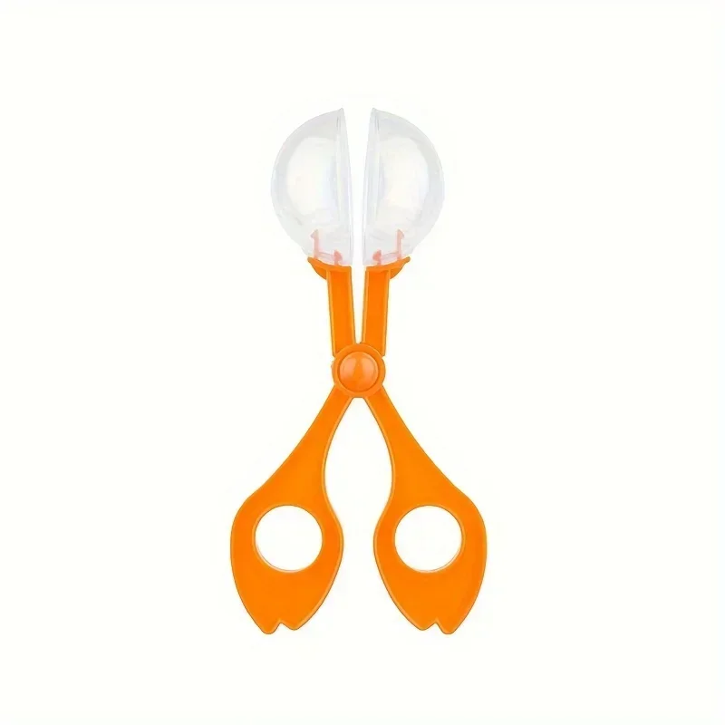 กรรไกรจับแมลงลูกปัดหลากสีขนาดใ - Outdoor Adventure Toys For Kids บทวิจารณ์และราคา